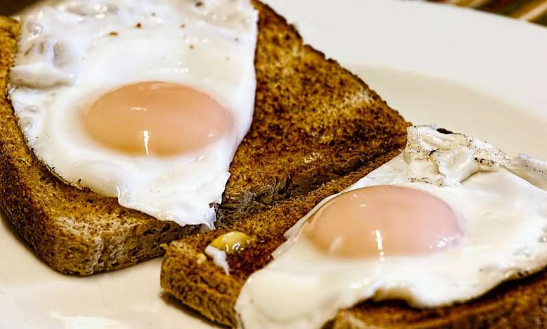 Nutritionists Say Consuming Eggs Does Not Mean High-Fat Intake