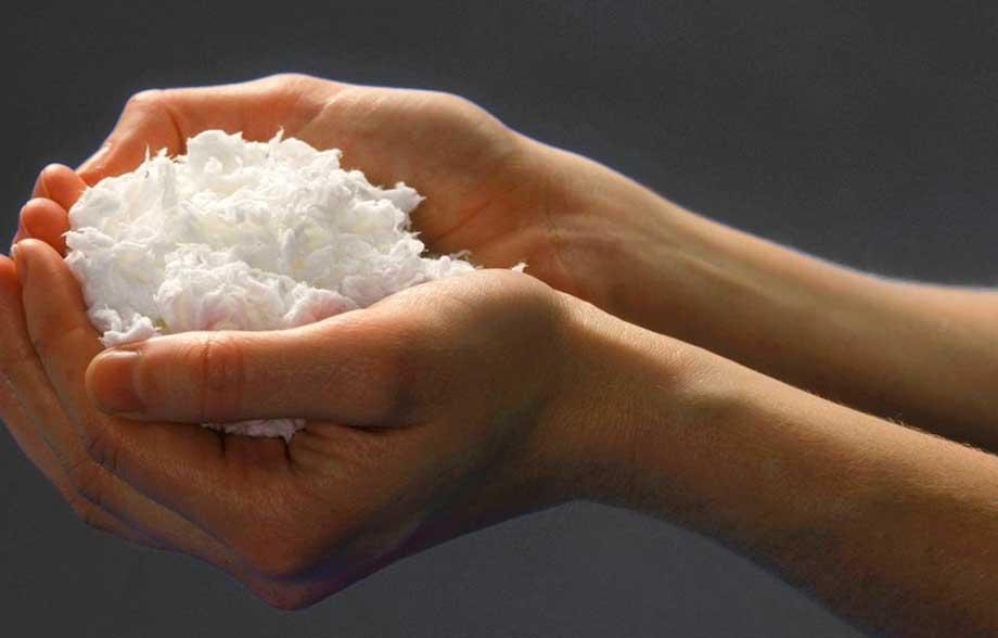 Global Chemical Pulp Market