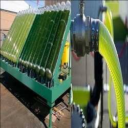 Global Algae Biofuel Market