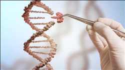 Global CRISPR Genome Editing Market