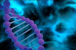 Global Genotyping Assay Market