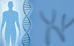 Global Next Generation Sequencing Market