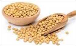 Global Organic Soy Protein Market