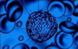 Global Synthetic Stem Cells Market