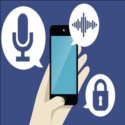 Global Voice Biometric Solutions Market